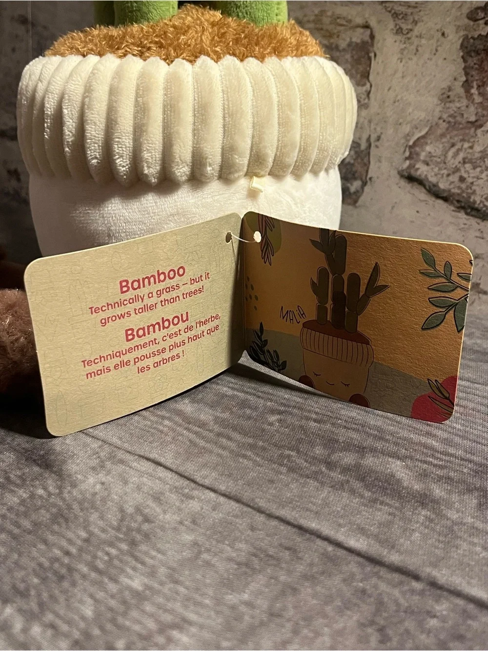 New!! Greenhouse by RUSS plush bamboo planter “Malia” cream pot